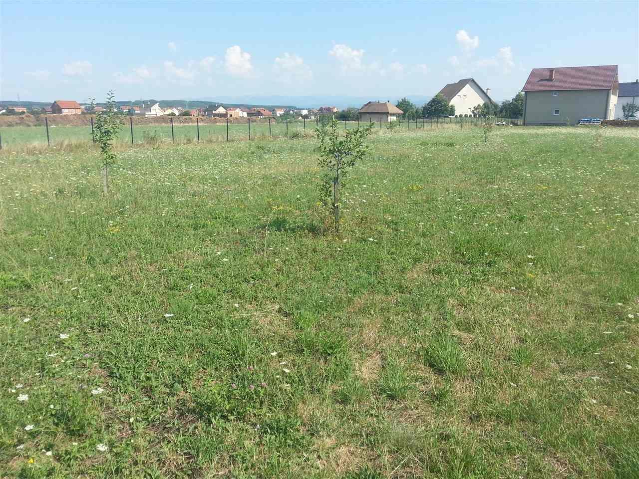 shitet-parcella-