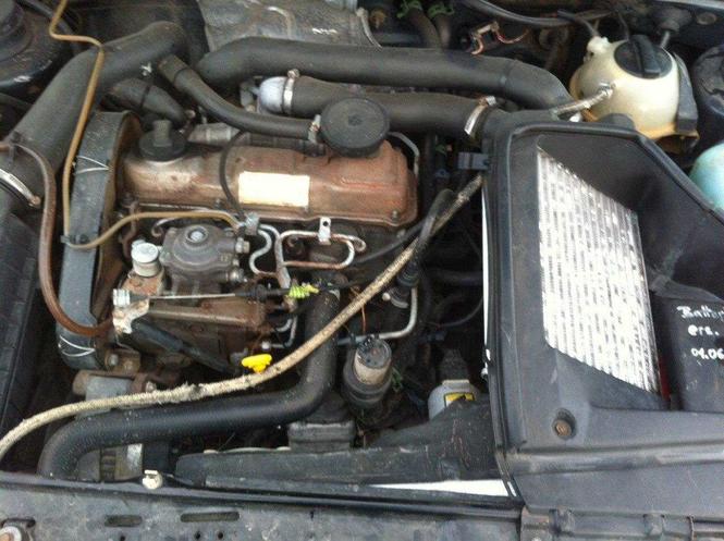 golf2