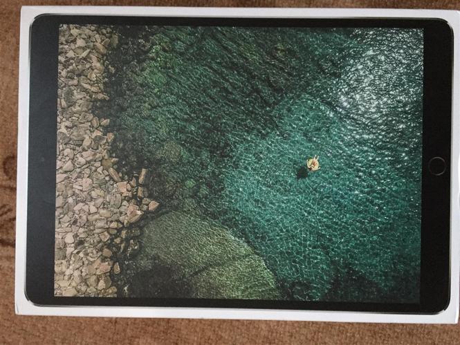 iPad Pro