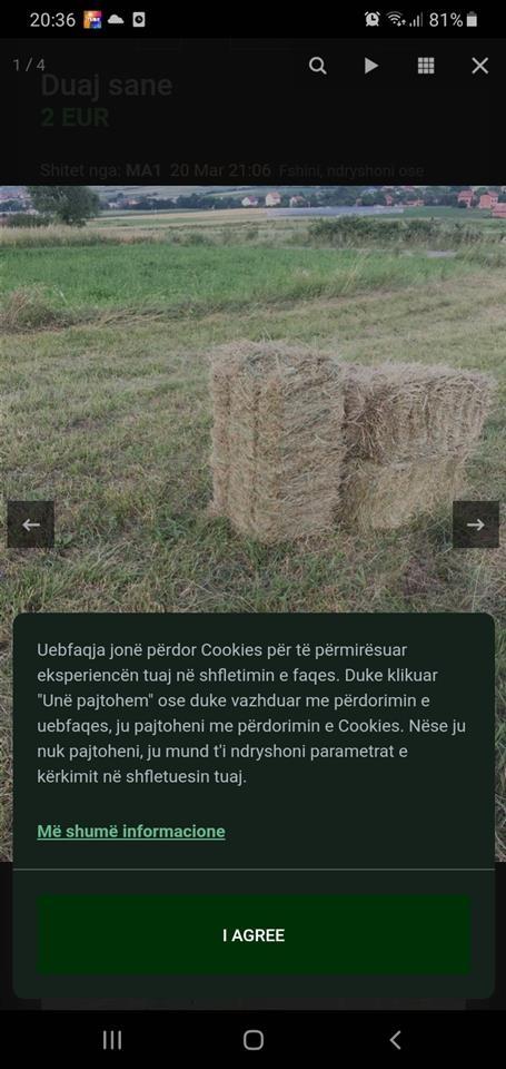 Shiten-dujt