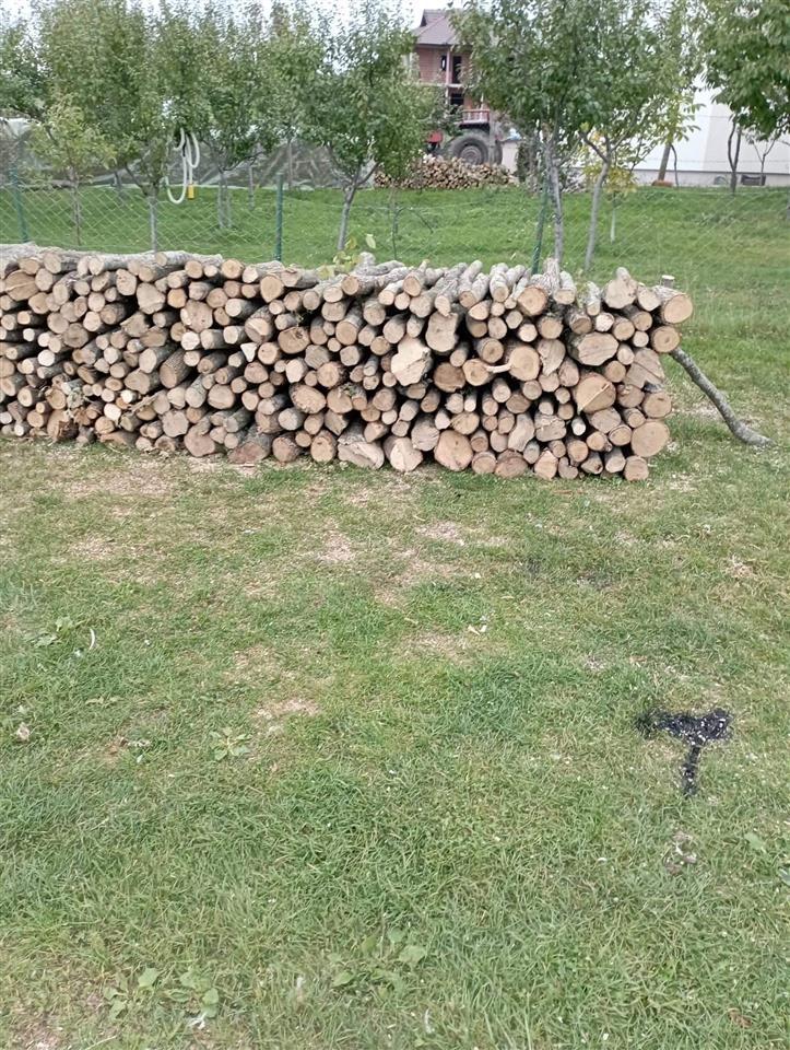 Shiten-drut