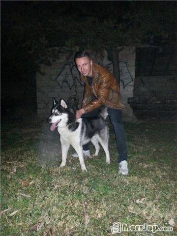 Haski