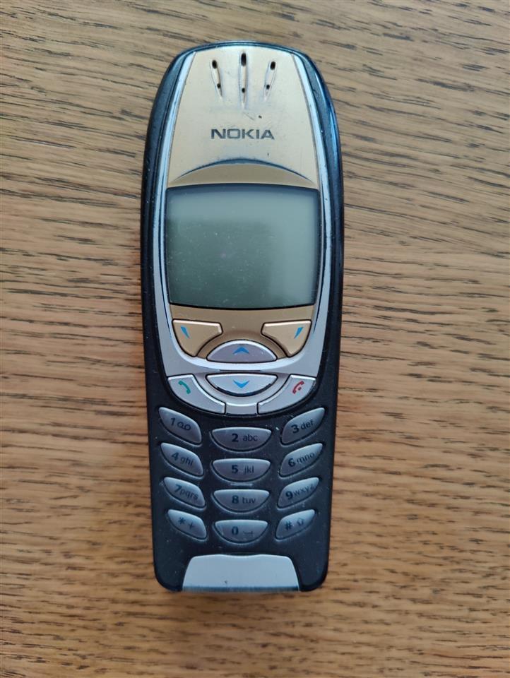 Nokia-6310