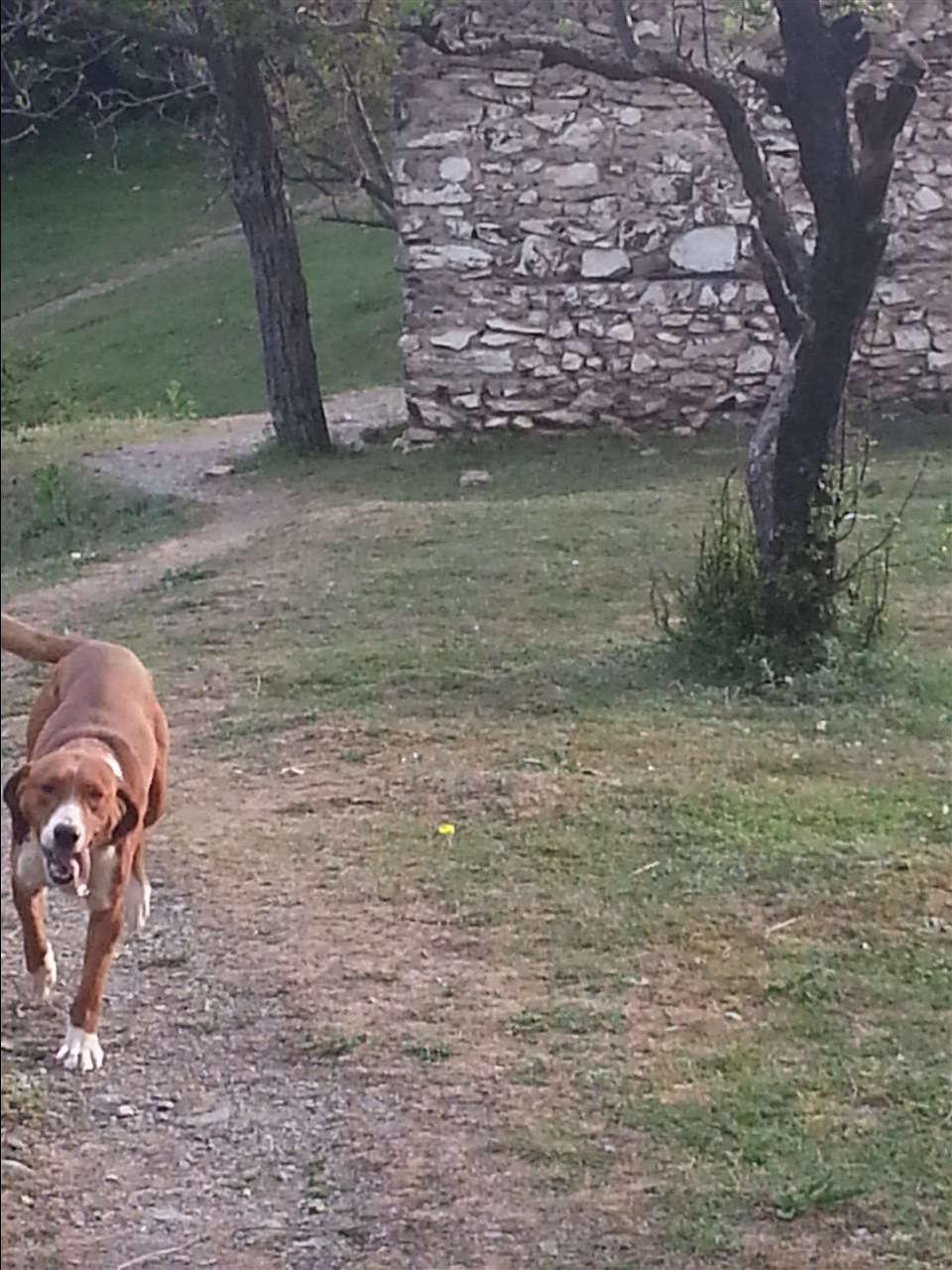 Zagar