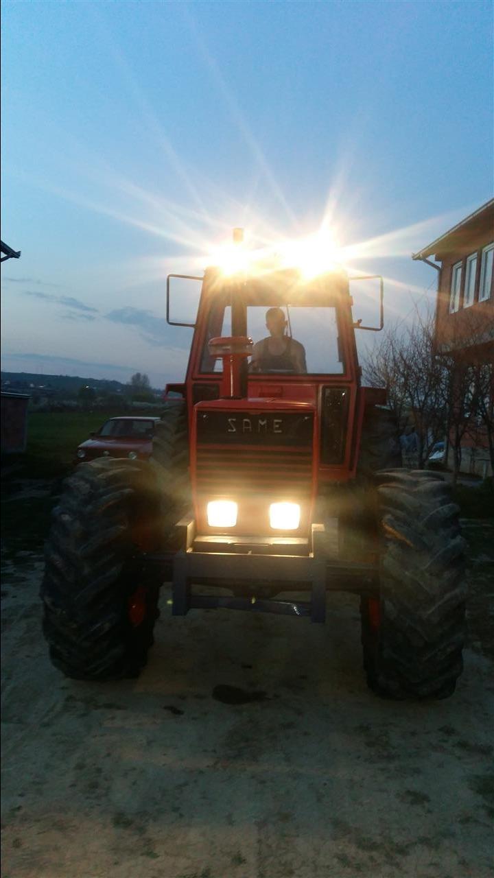 SAME-Tiger-105