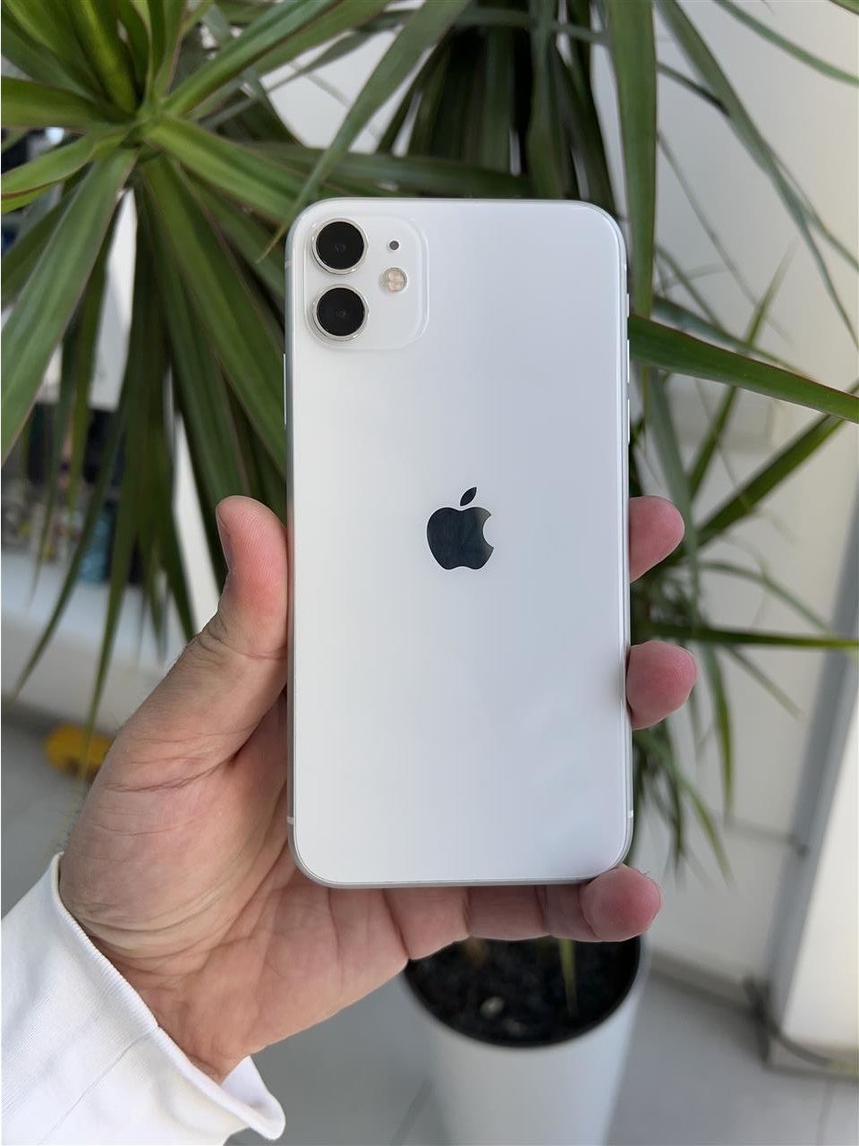 iPhone-11---