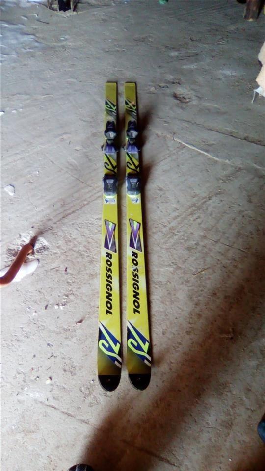 Skija