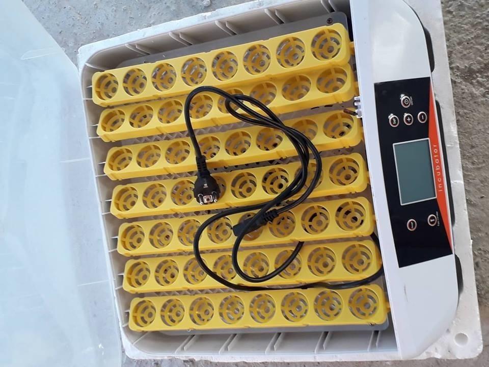 inkubator