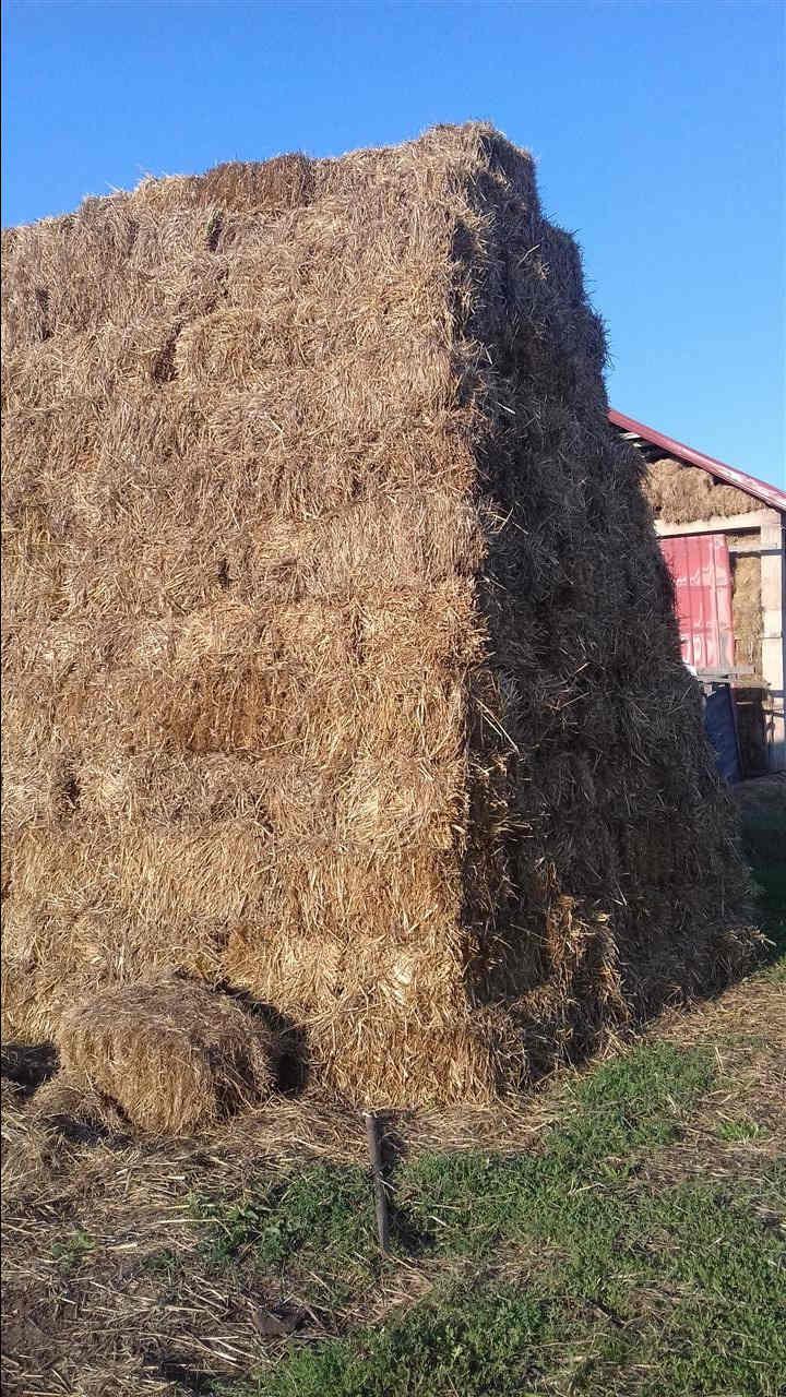 Kashtë