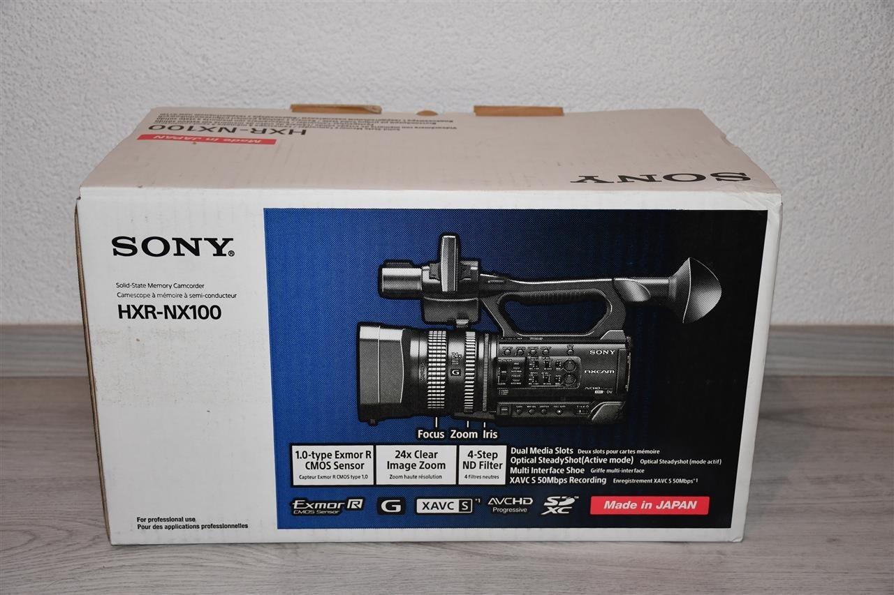 Sony-NX100