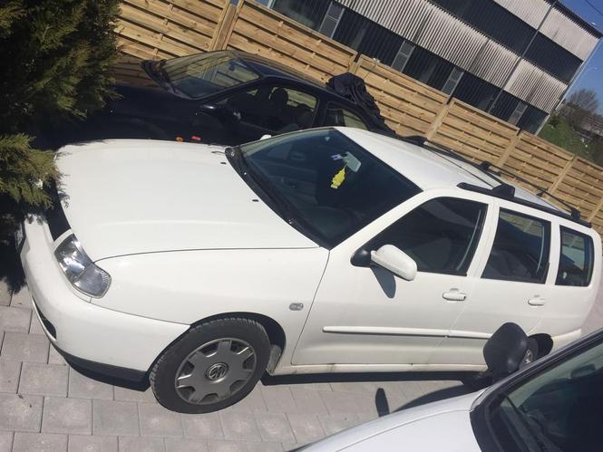 Polo