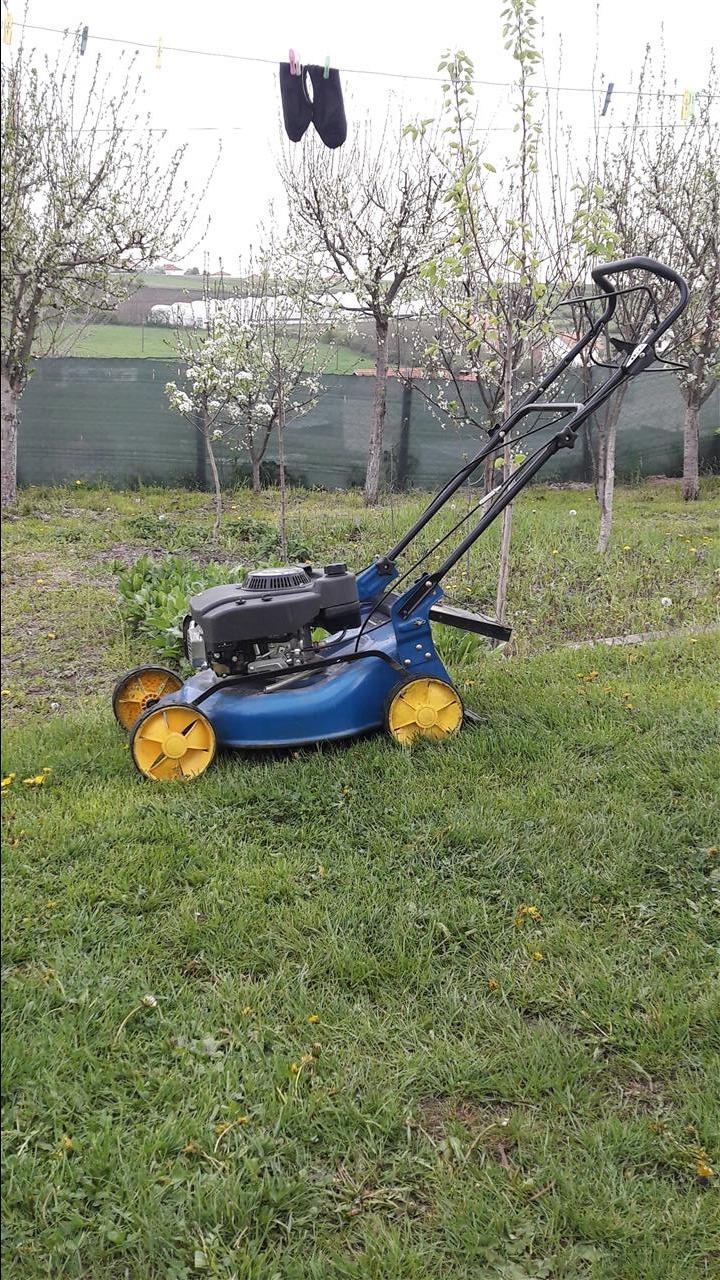 Makin--per-bari