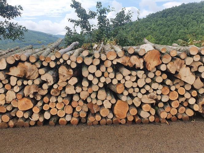 Dru