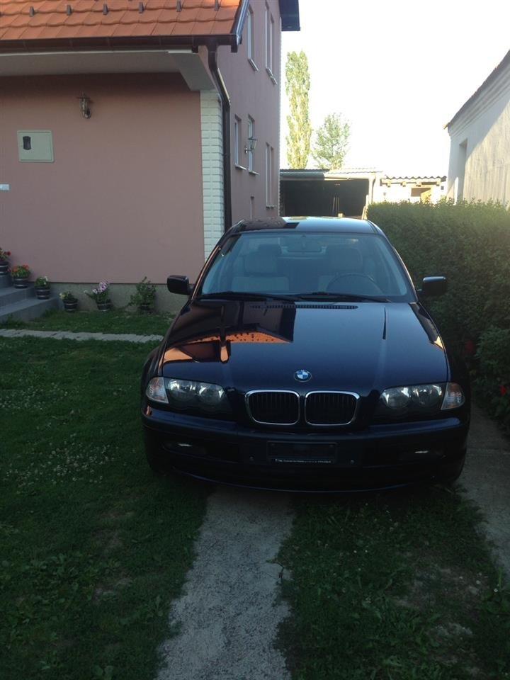 Shitet--BMW