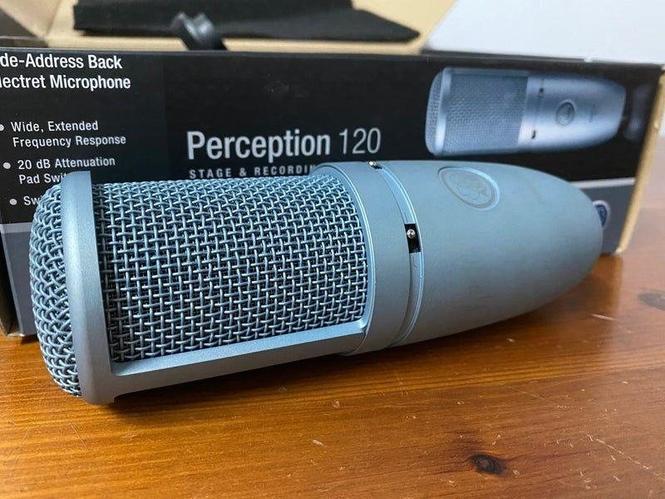 Akg Perception 120 