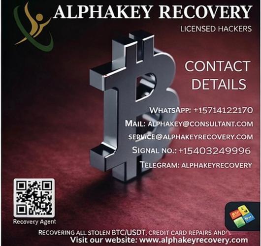 Consult a licensed crypto / data recovery hacker - alpha key