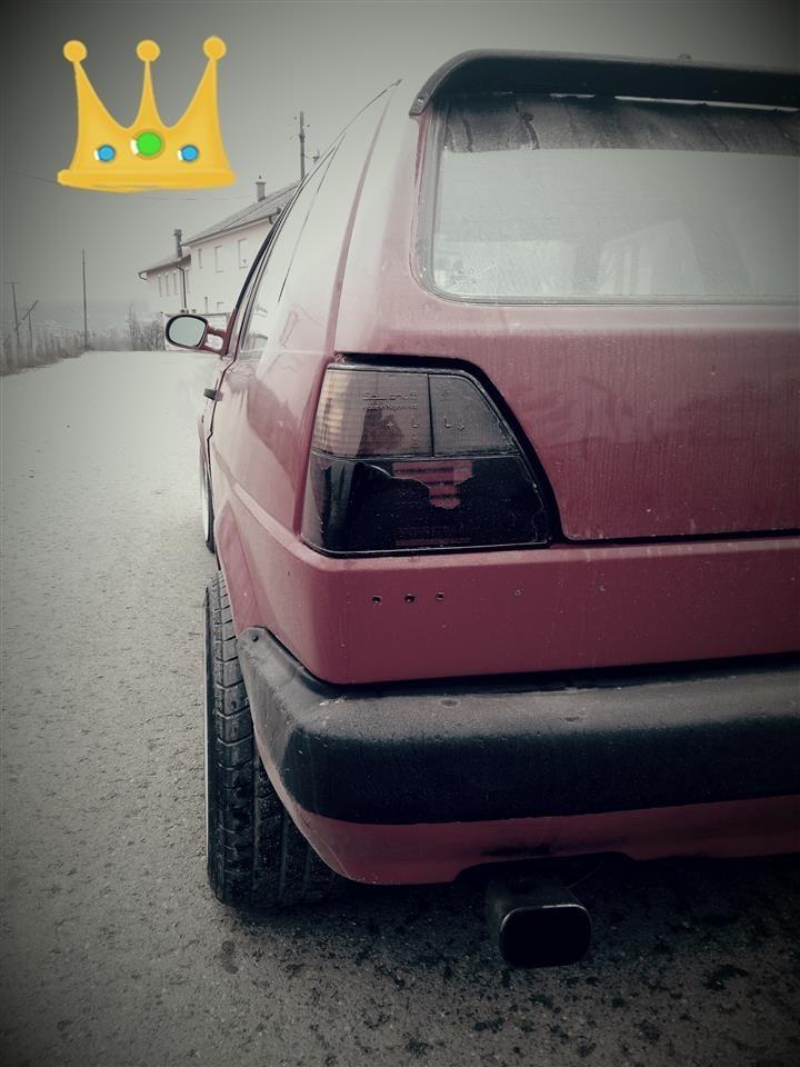 Bandash-16-vw