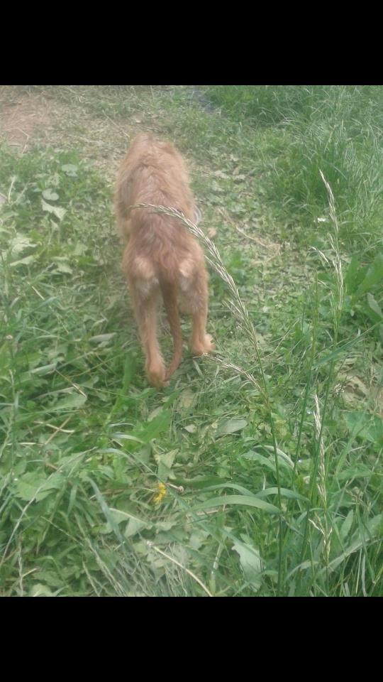 Zagar