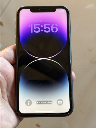 iPhone 11