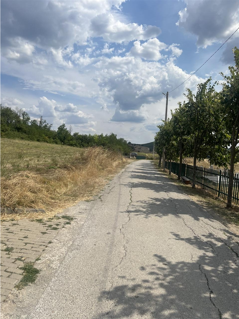 Shitet-parcella-18-ari-ne-perlepnic-me-qasje-ne-rrug