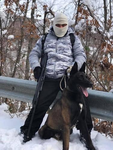 Malinois