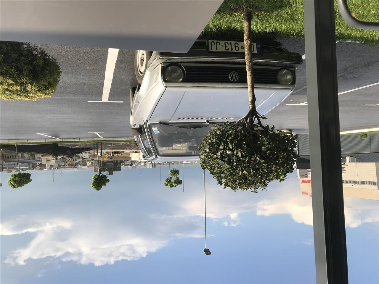 golf-