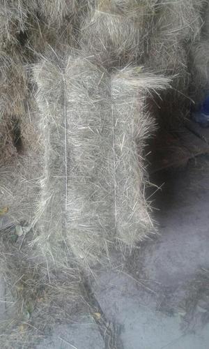 sana,,e bere dug,,