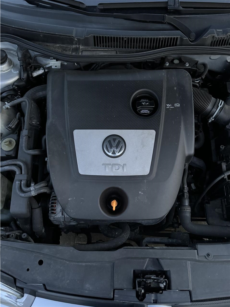 Golf-4