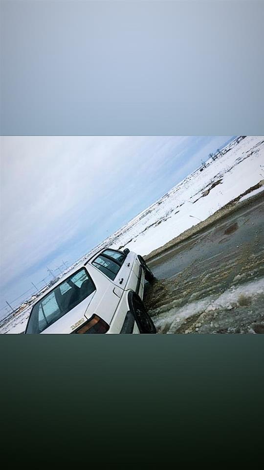 Shitet-jetta