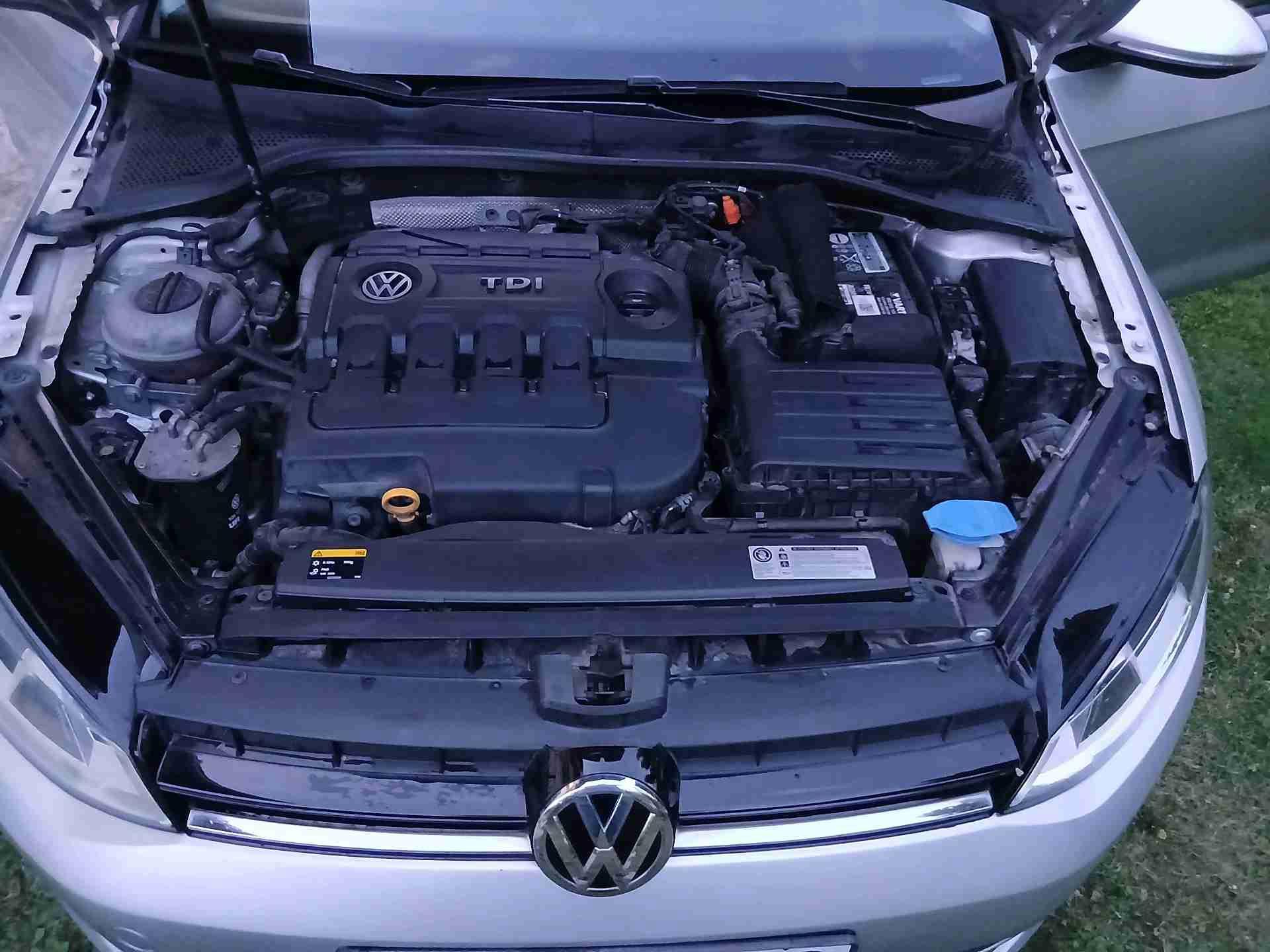 Golf-7