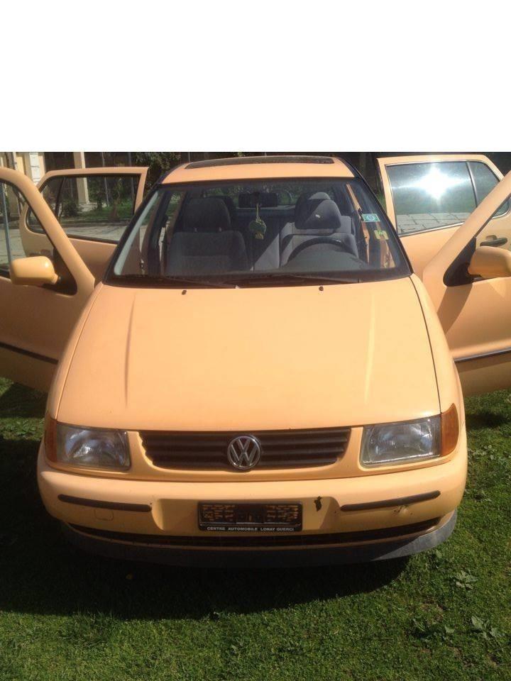 Polo