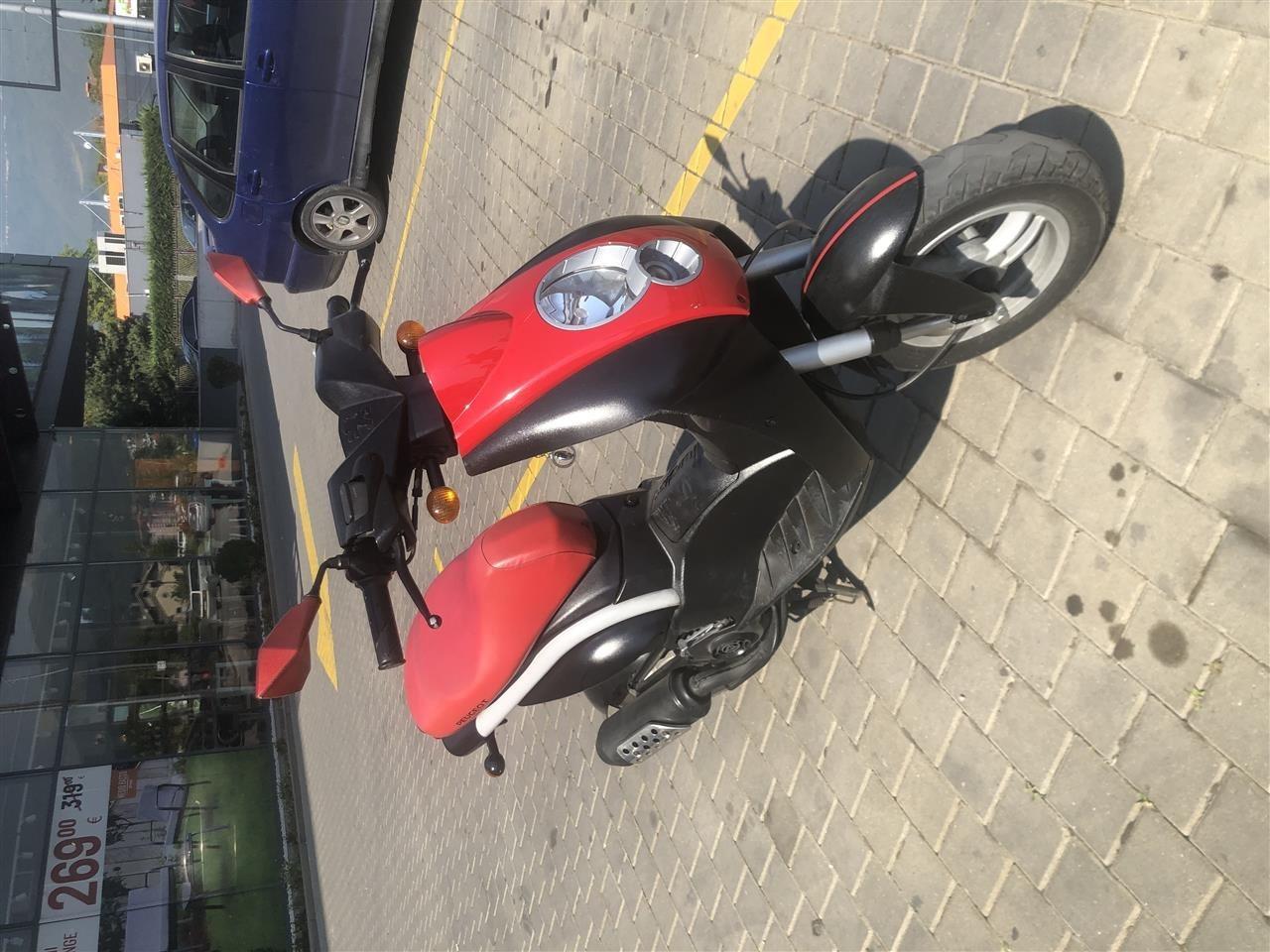 Scoter