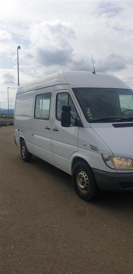 sprinter-313