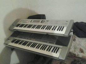 Korg