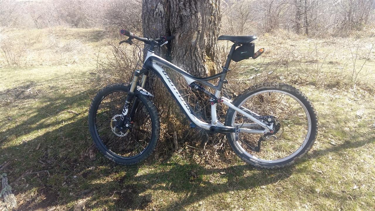 Specialized