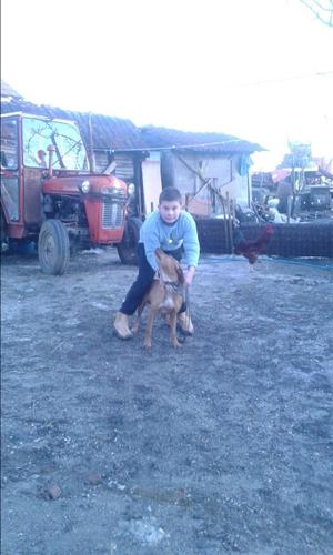 Zagar