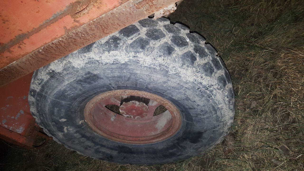 Prokolic