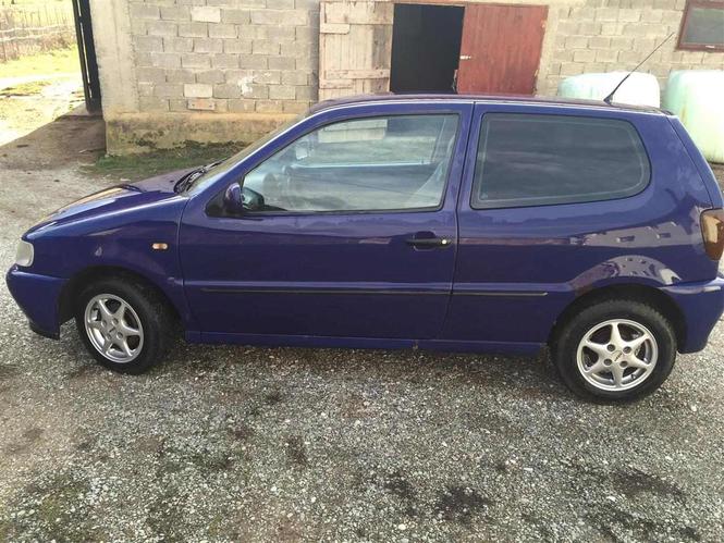 Polo