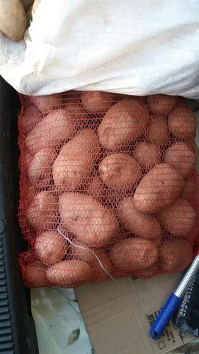 Patate