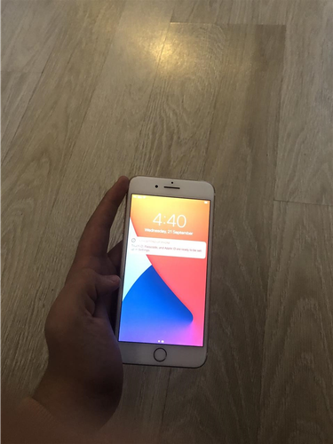 Shes iphone 7plus 