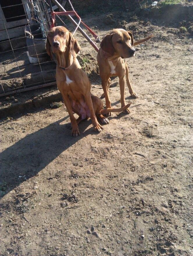 Zagar-
