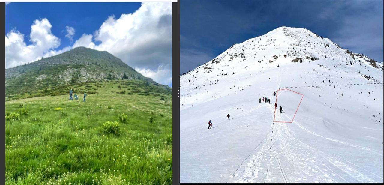 Truall-për-Shitje-në-Hajlë-të-Koshutanit---Rugovë--Pejë