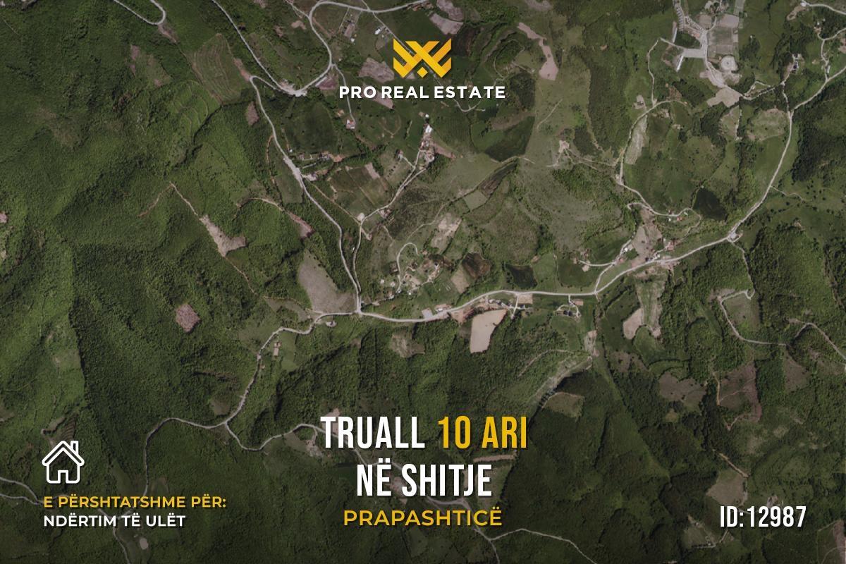 Truall-10-Ari-për--SHITJE-në-Prapashticë-