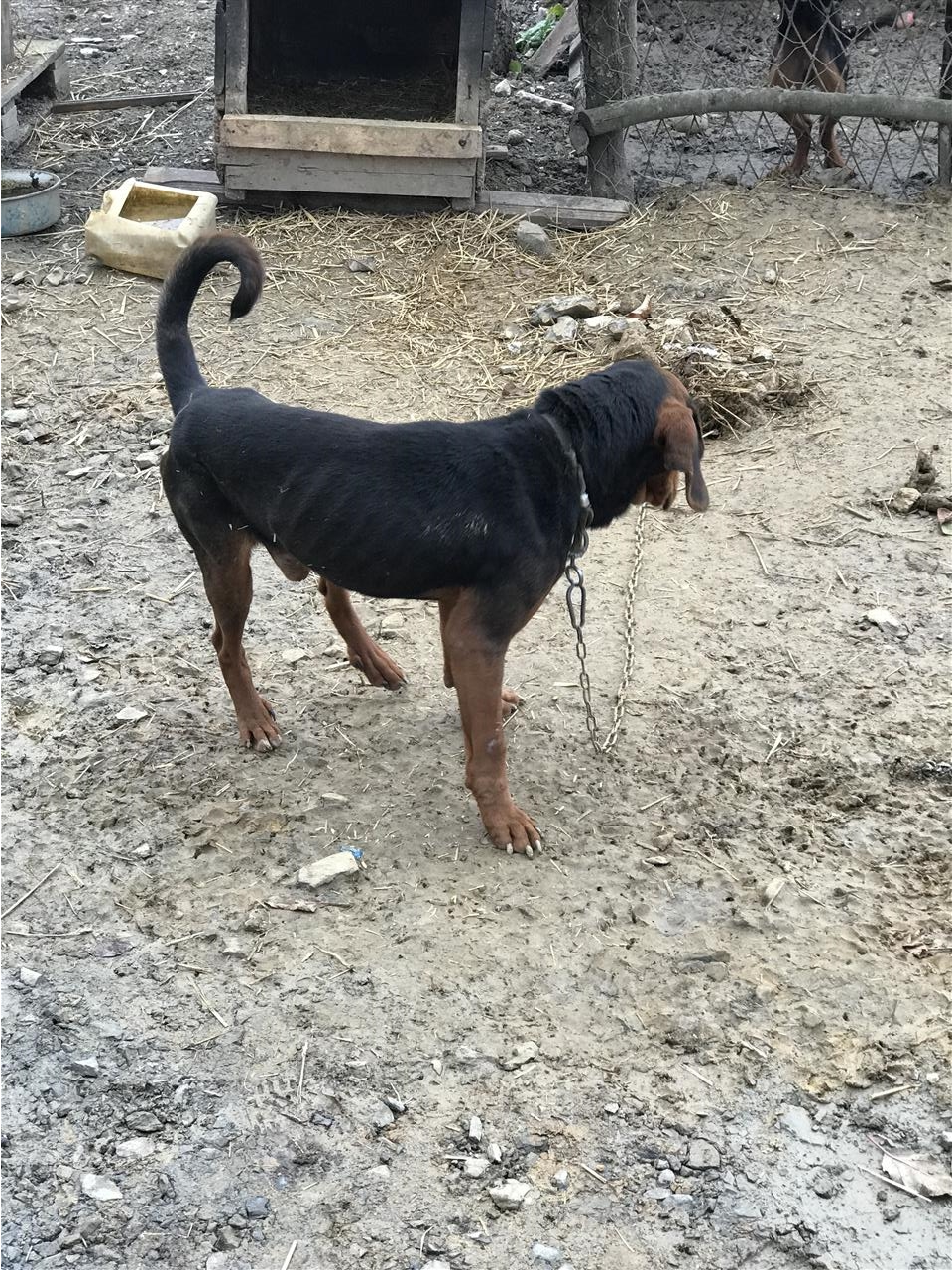 Zagar