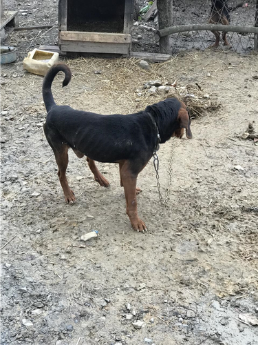 Zagar