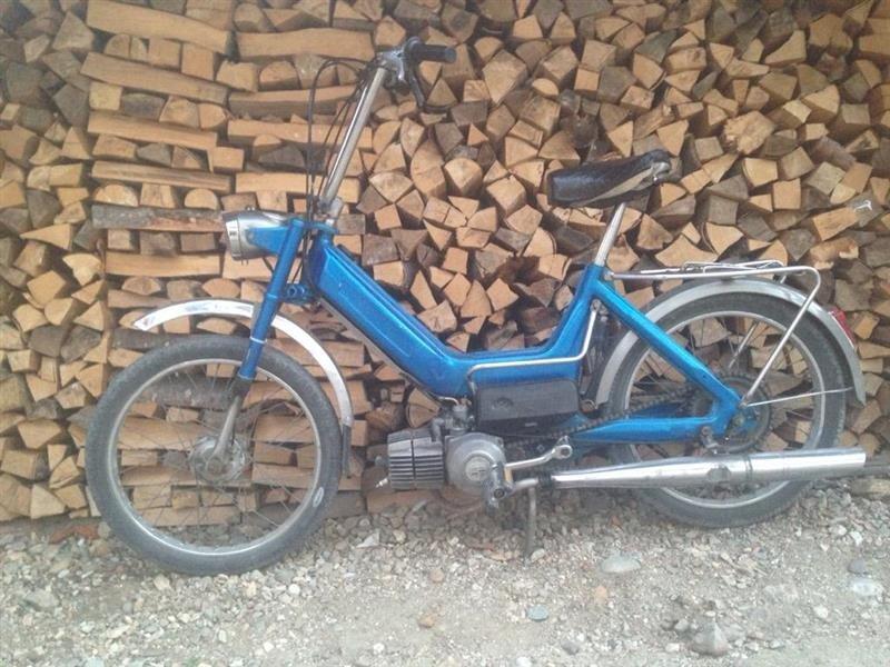 Motor