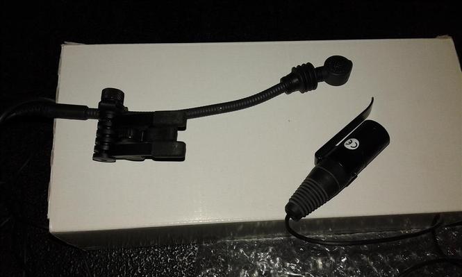 Microphone