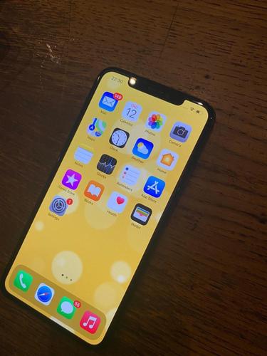 Iphone X Max