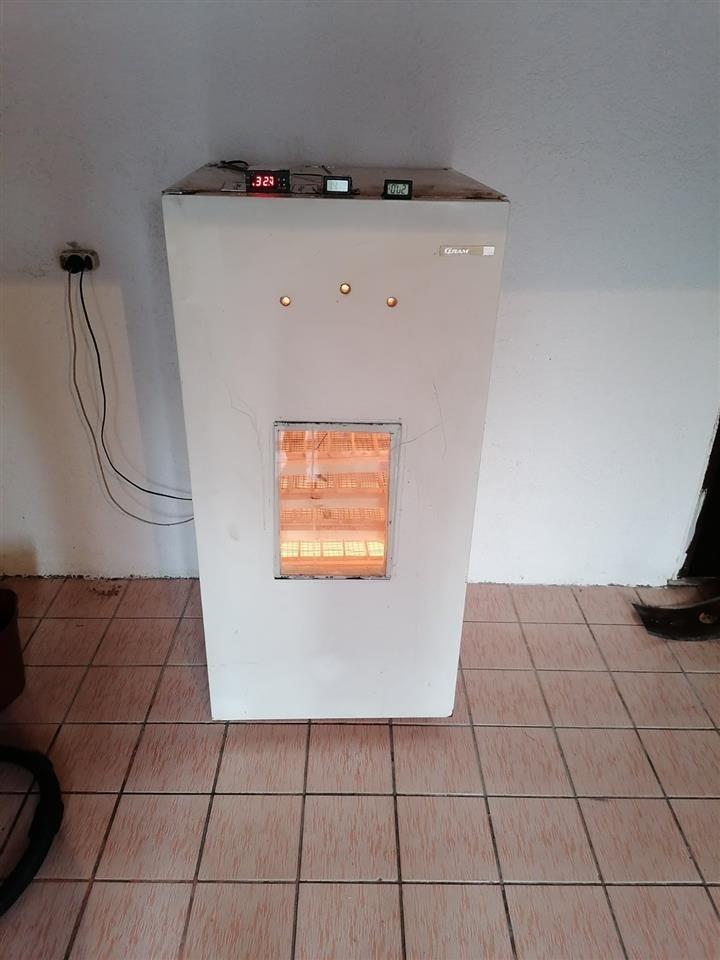 Inkubator