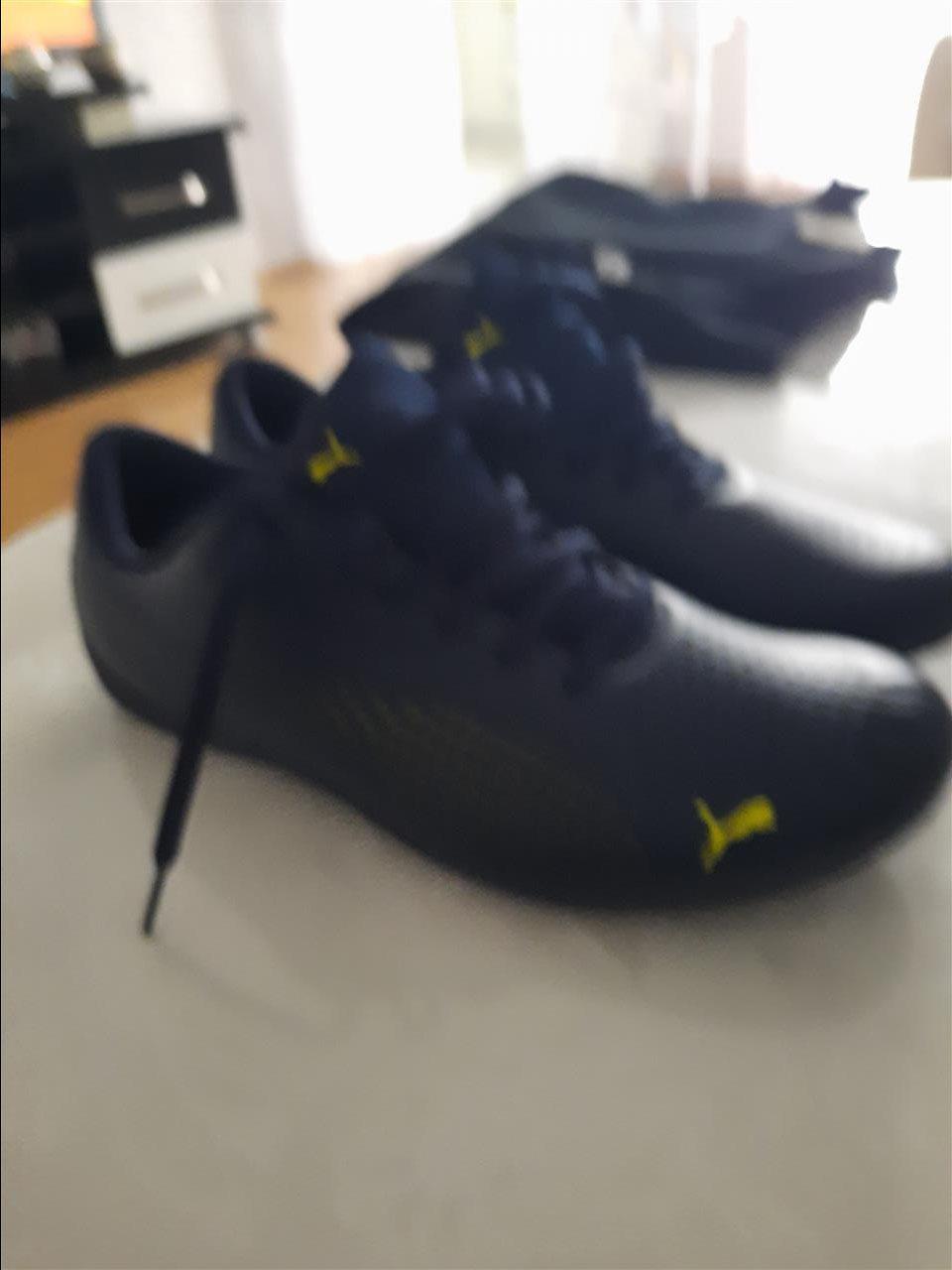 Puma